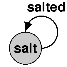 Reflexive saltize salt