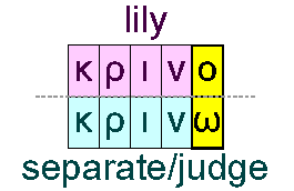 Lily and separate/judge