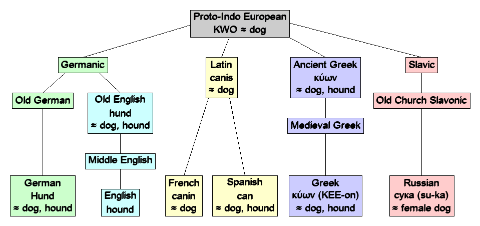 Linguistic diagram of hound