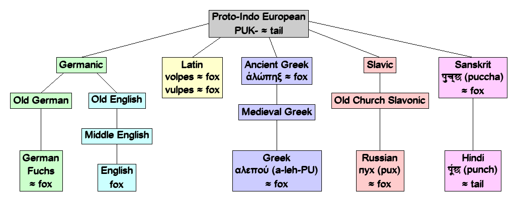 Linguistic diagram of fox