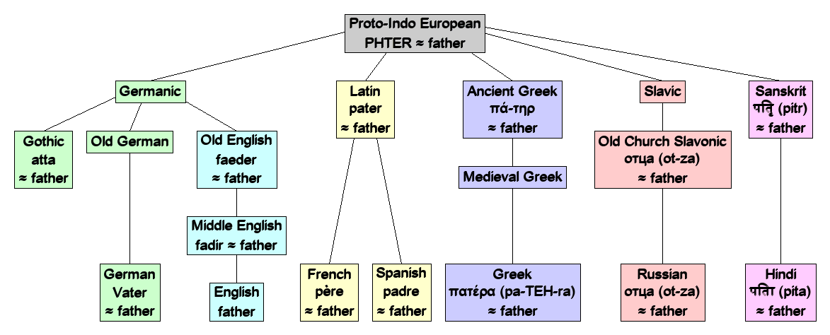 Linguistic diagram of father
