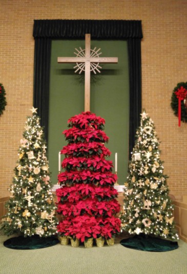 St. Paul's Christmas trees