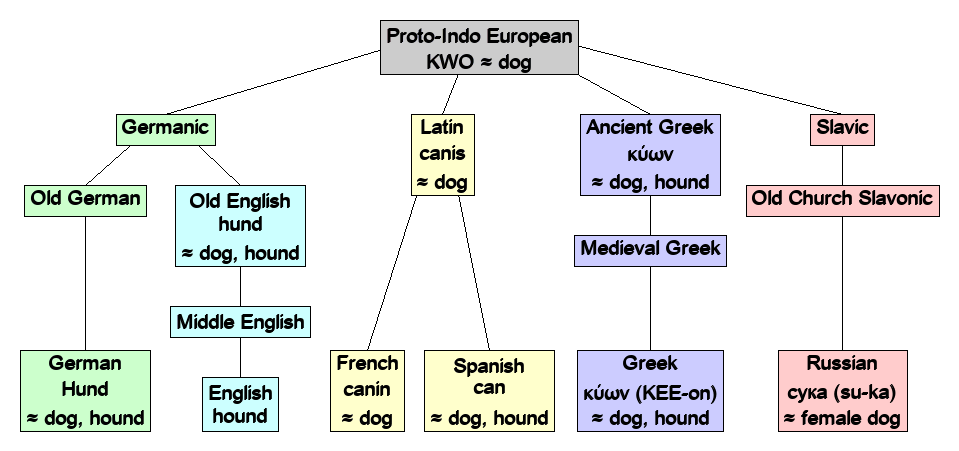 Linguistic diagram of hound