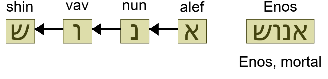 אנוש - Enos, mortal