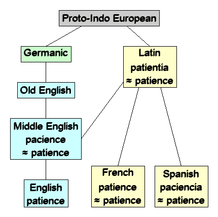 Linguistic diagram of patience