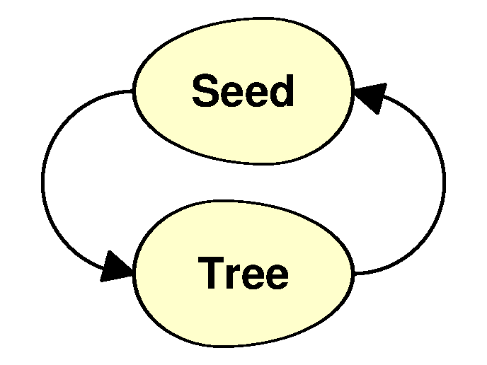 Tree and seed