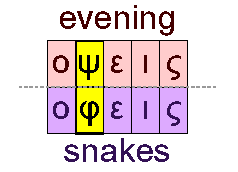 Evening and snakes