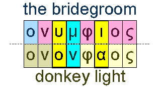 The bridegroom and donkey light