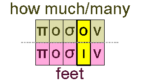 How mich and feet