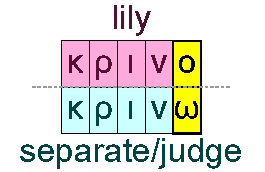 Lily and separate/judge