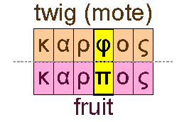 Twig and fruit