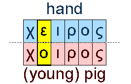Hand and pig