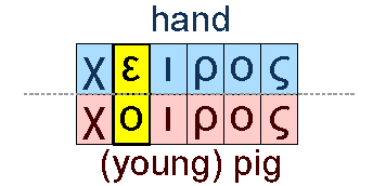 Hand and pig