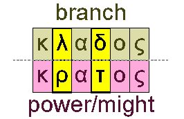 Branch and power/might