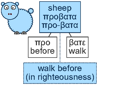 Sheep