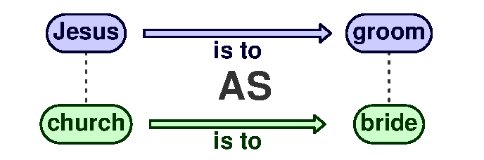 Analogy Jesus is the groom as the church is the bride