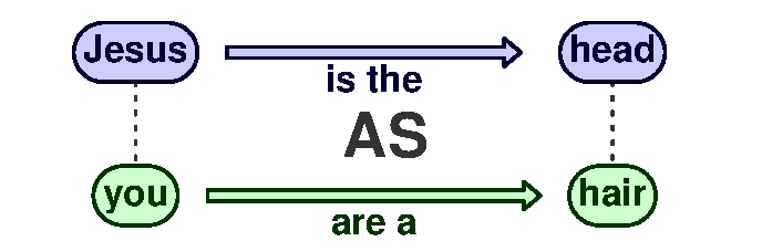 Analogy Jesus is the head as you are the hair