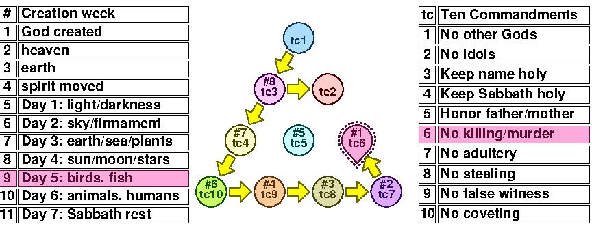 TC 9