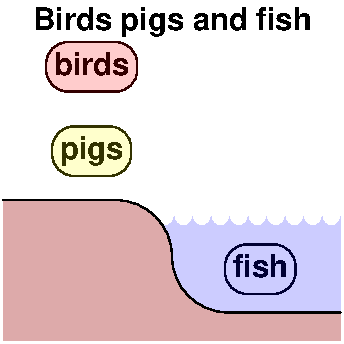Birds pigs and fish