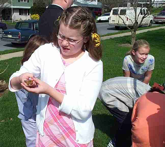 Butterfly time on April 16, 2001