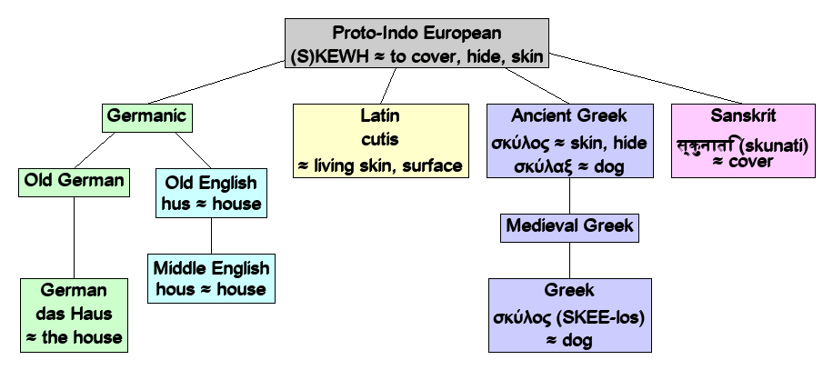 Linguistic diagram of dog