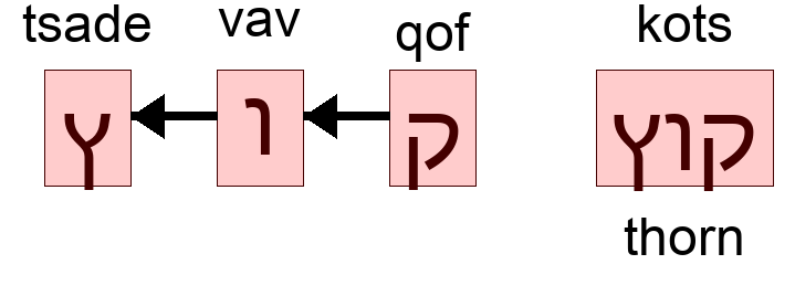 קוץ - thorn