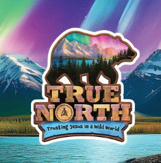 Bear and true north