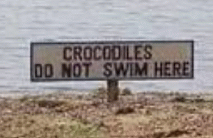 Sign: ALLIGATORS DO NOT SWIM HERE