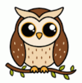 Drawing: owl