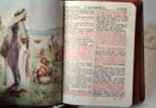 Red letter Bible
