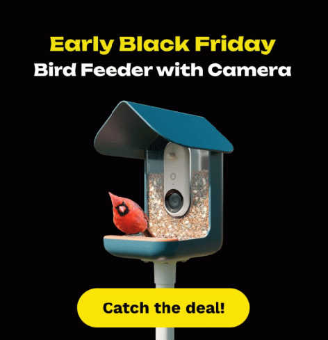 Black Friday sale on bird houses
