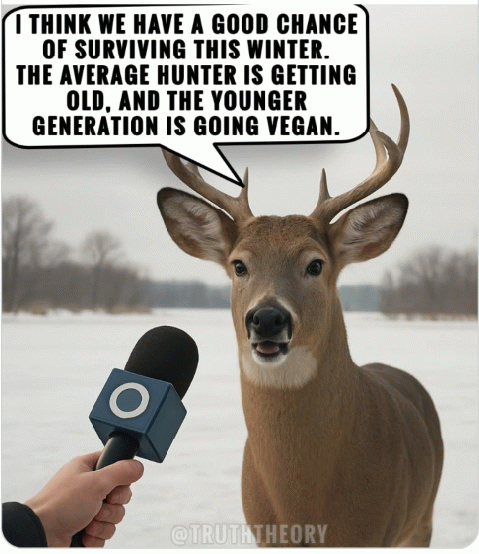 Deer survival