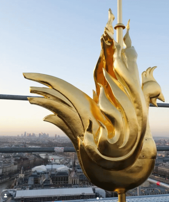 New Notre Dame rooster